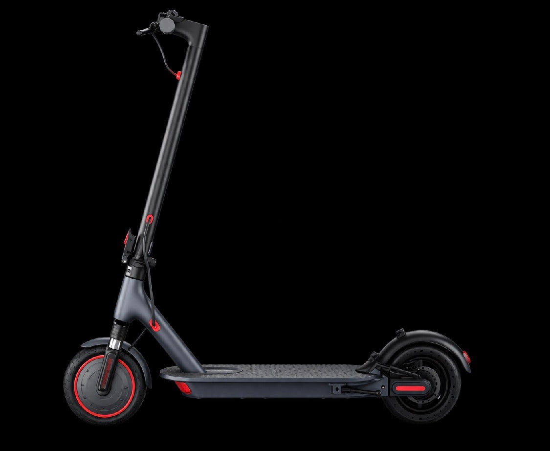 Volpam Spt6